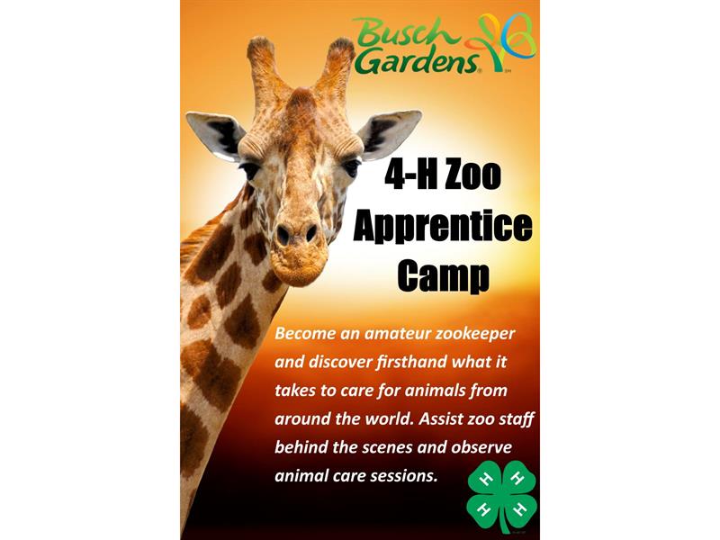 Logo for 2026 4-H Zoo Apprentice Camp